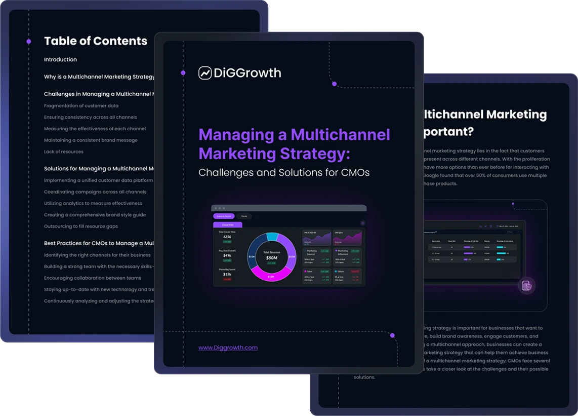 Managing a Multichannel Marketing Strategy Challenges and Solutions  for CMOs